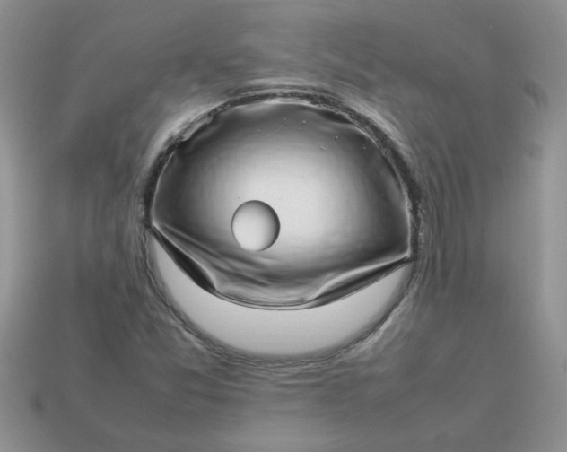 X0000113031357200909101849