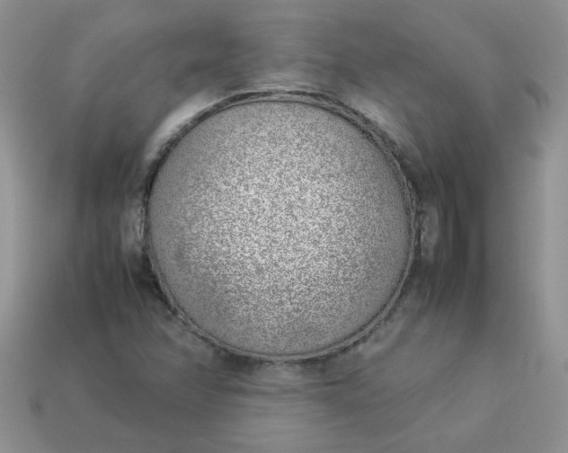 X0000113031358200909101849