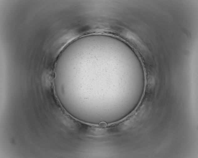 X0000113031361200909101849