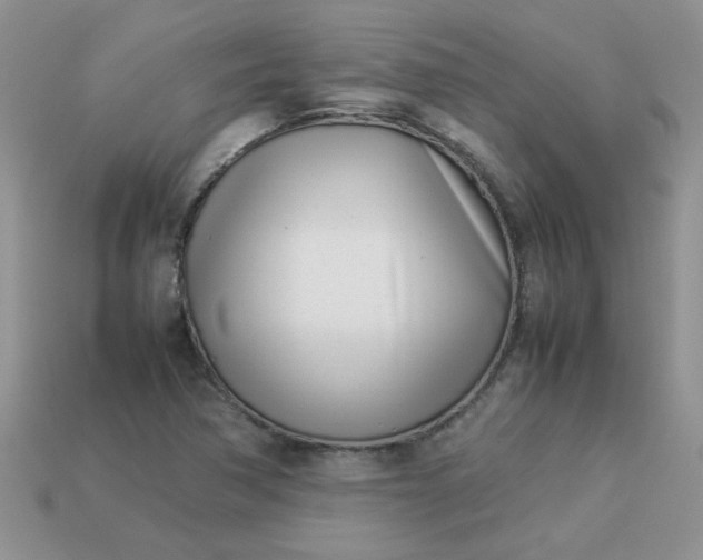 X0000113031362200909101849