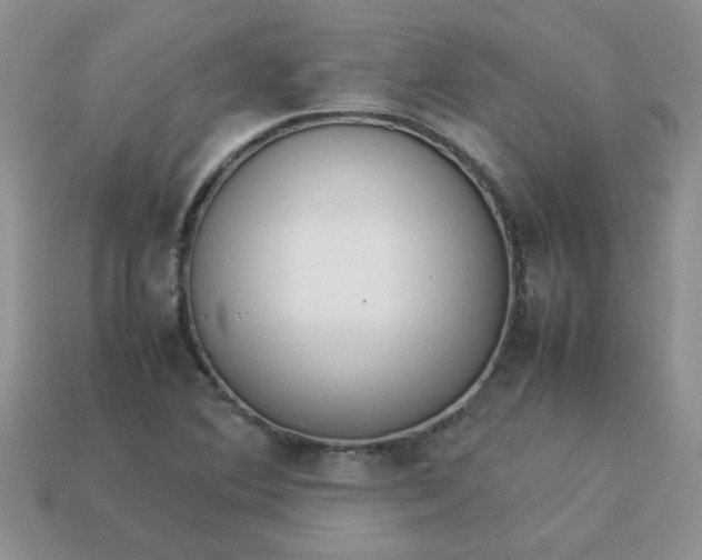 X0000113031364200909101849