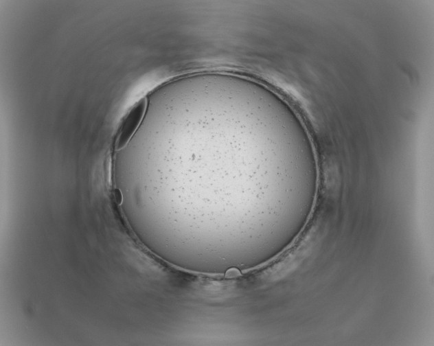 X0000113031365200909101849