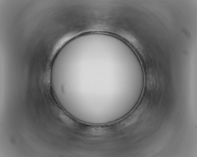 X0000113031366200909101849