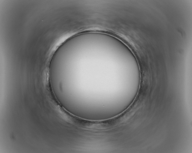 X0000113031367200909101849