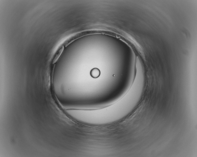 X0000113031368200909101849