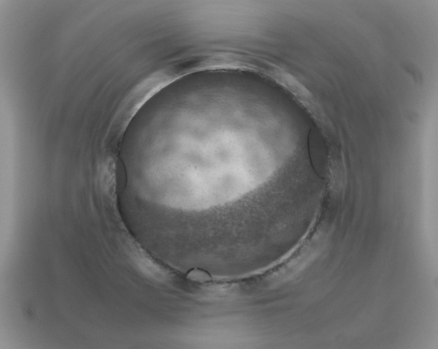 X0000113031369200909101849