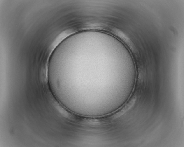 X0000113031370200909101849