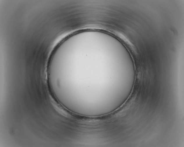 X0000113031372200909101849