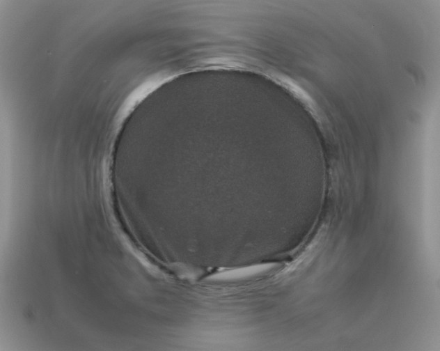 X0000113031373200909101849