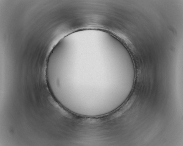 X0000113031374200909101849