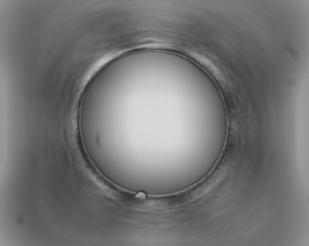 X0000113031375200909101849