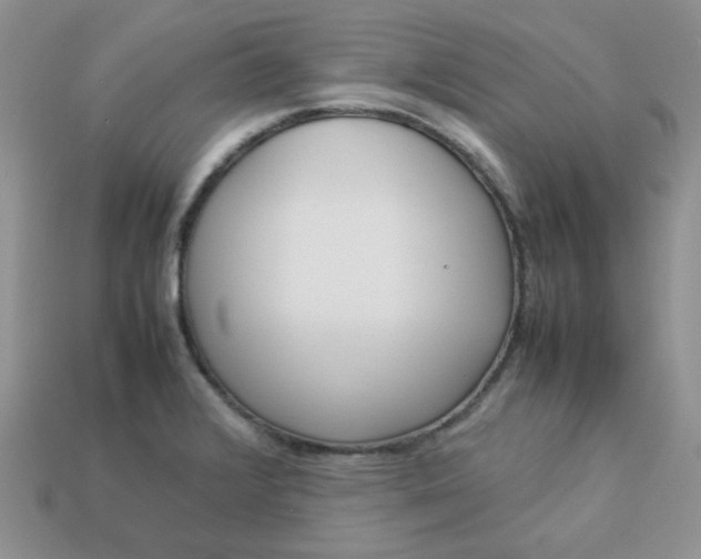 X0000113031376200909101849