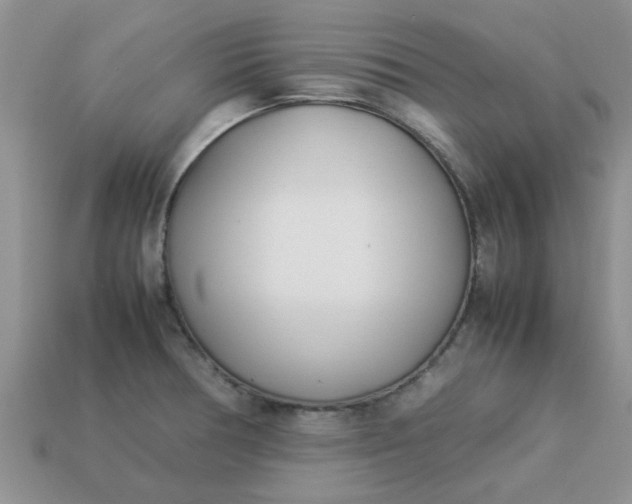 X0000113031378200909101849