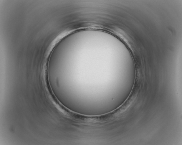 X0000113031379200909101849