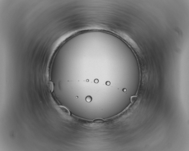 X0000113031380200909101849