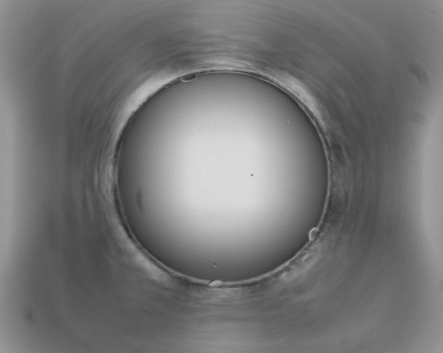 X0000113031381200909101849