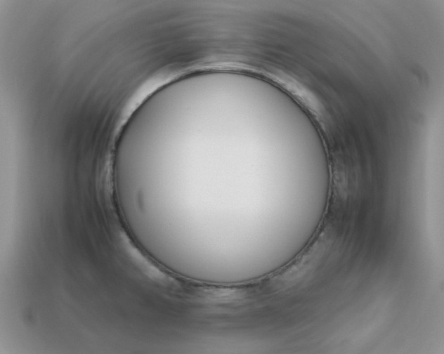 X0000113031382200909101849