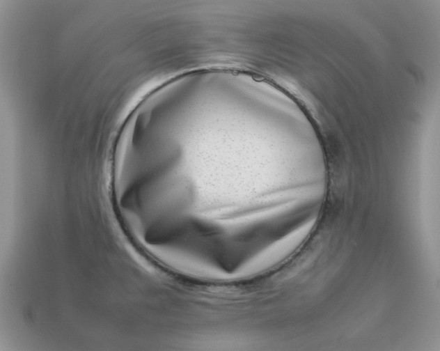 X0000113031383200909101849