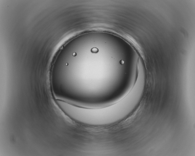 X0000113031384200909101849