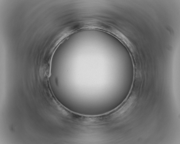 X0000113031385200909101849