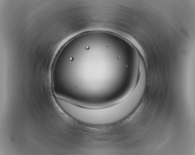 X0000113031388200909101849