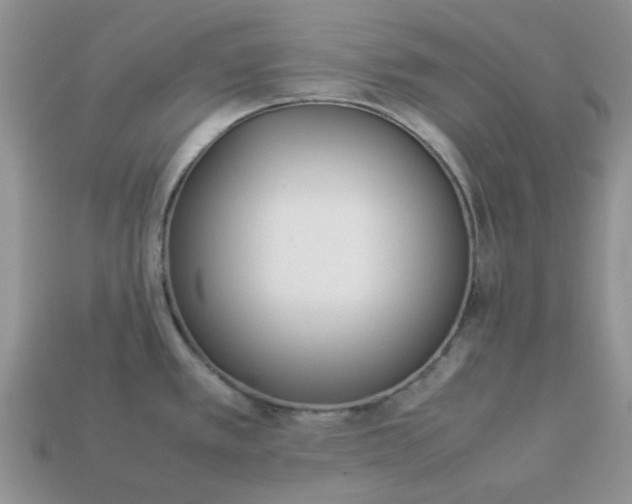 X0000113031389200909101849