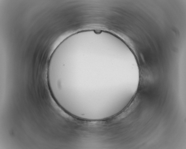 X0000113031390200909101849