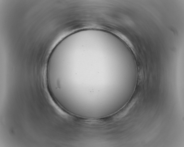 X0000113031391200909101849