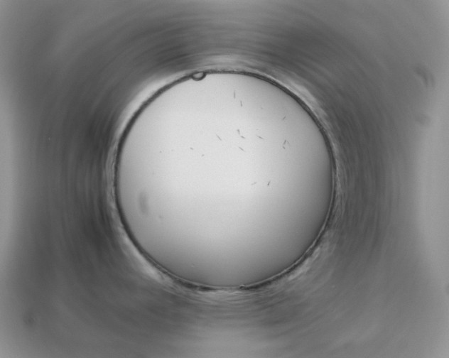 X0000113031392200909101849