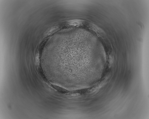 X0000113031394200909101848