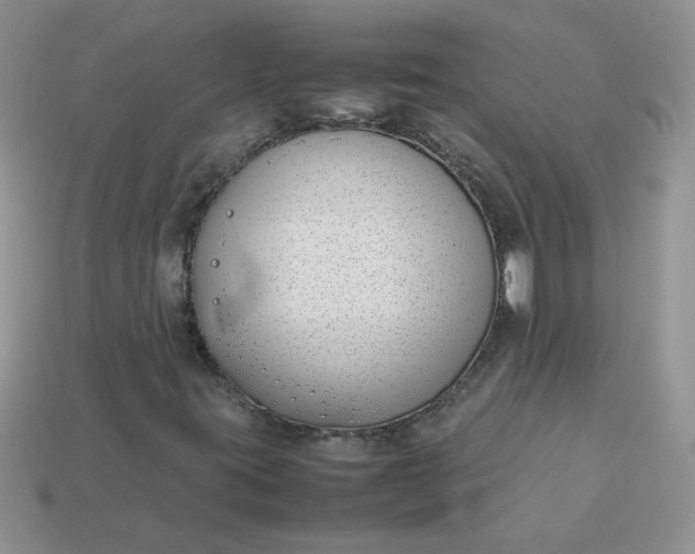 X0000113031395200909101848