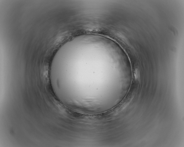 X0000113031396200909101848