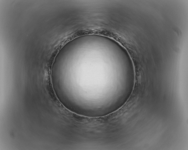 X0000113031397200909101848