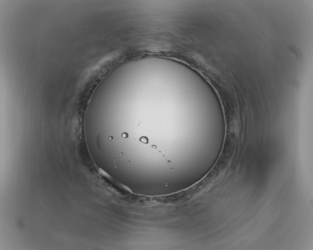 X0000113031398200909101848