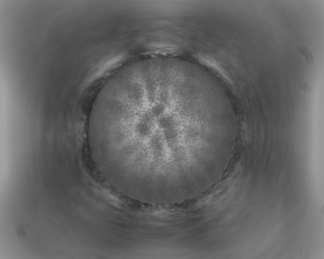 X0000113031399200909101848