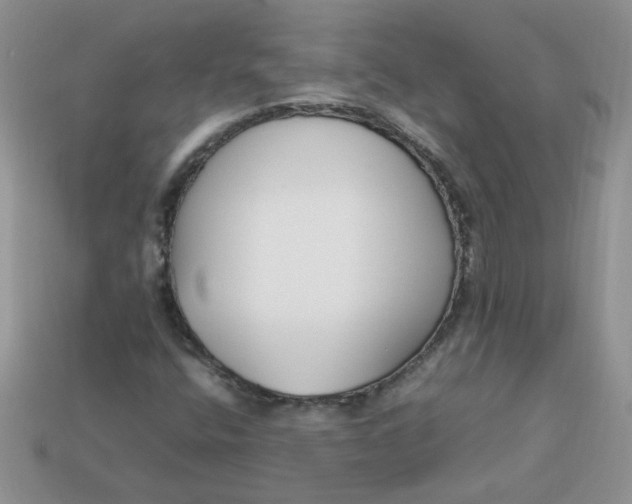 X0000113031400200909101848