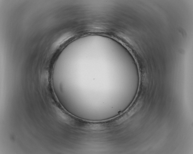 X0000113031402200909101848