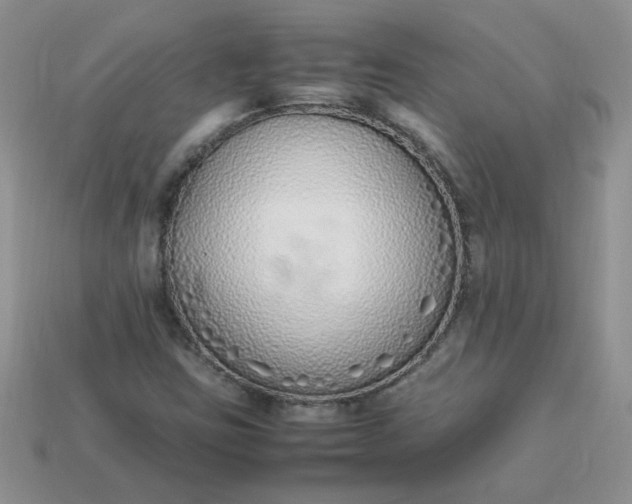 X0000113031403200909101848