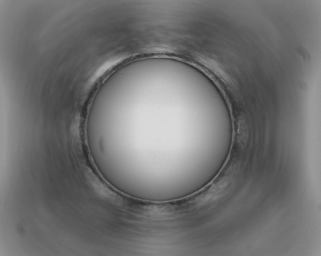 X0000113031404200909101848