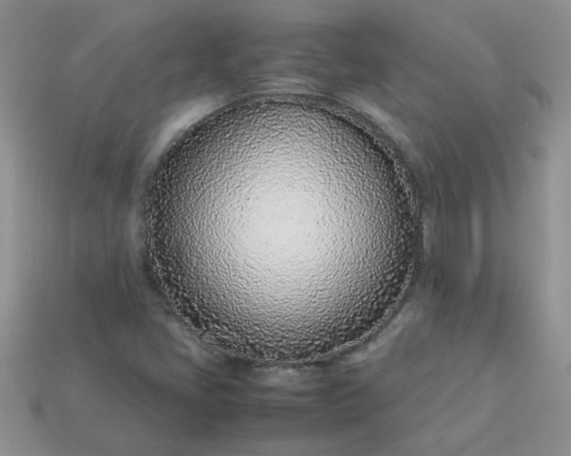 X0000113031405200909101848