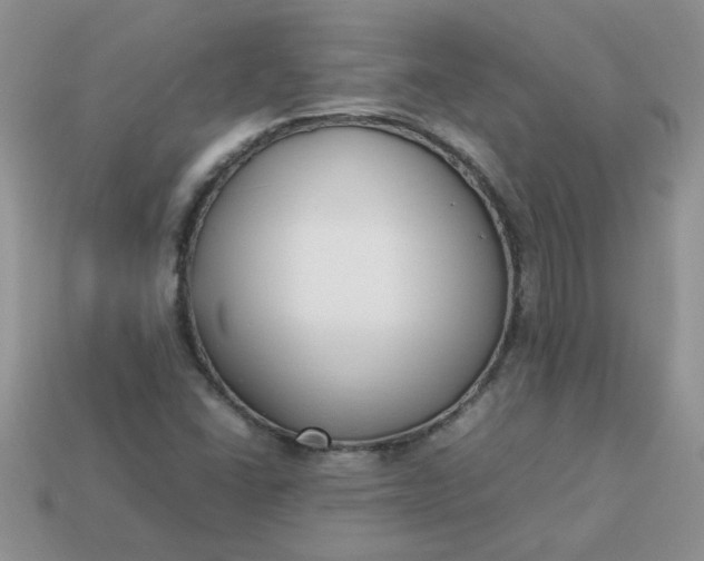 X0000113031406200909101848