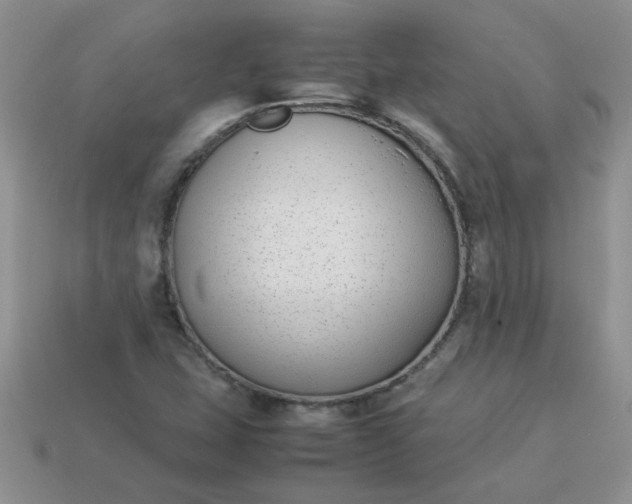 X0000113031407200909101848