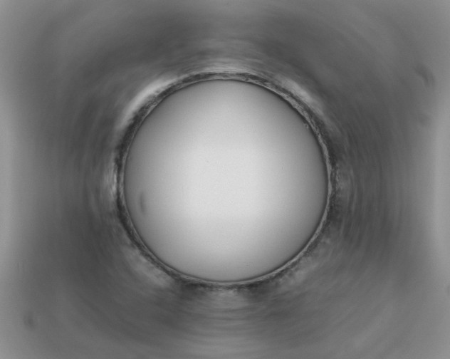 X0000113031408200909101848