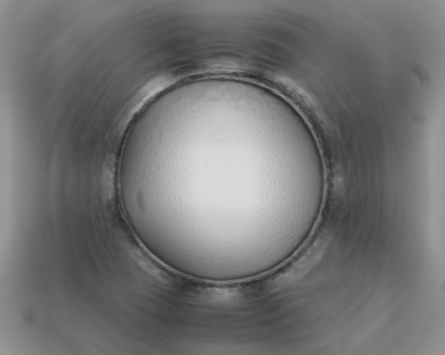 X0000113031409200909101848