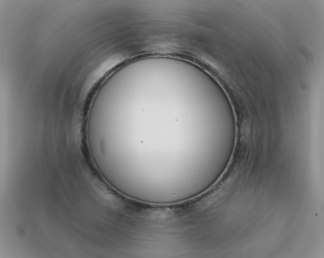 X0000113031410200909101848