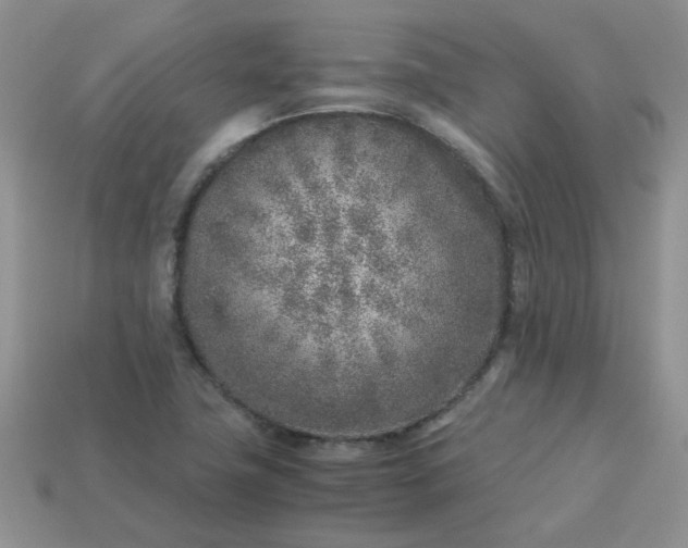 X0000113031411200909101848