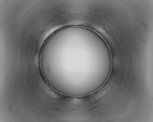 X0000113031412200909101848