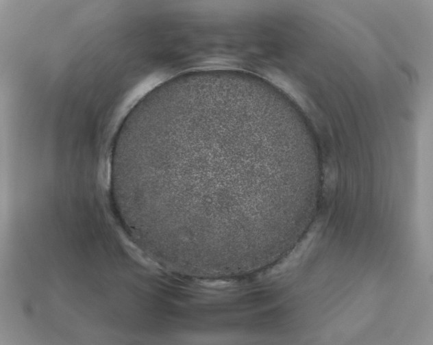 X0000113031413200909101848