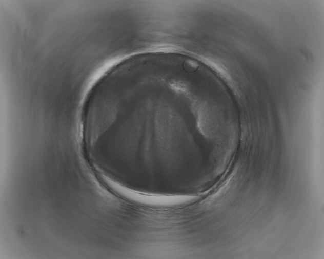 X0000113031414200909101848