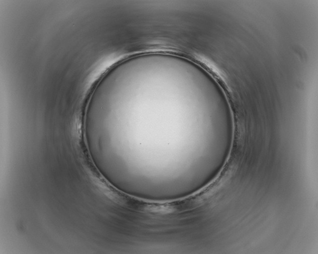 X0000113031415200909101848